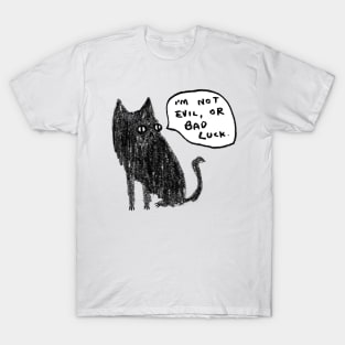 Black Cats Aren't Evil T-Shirt